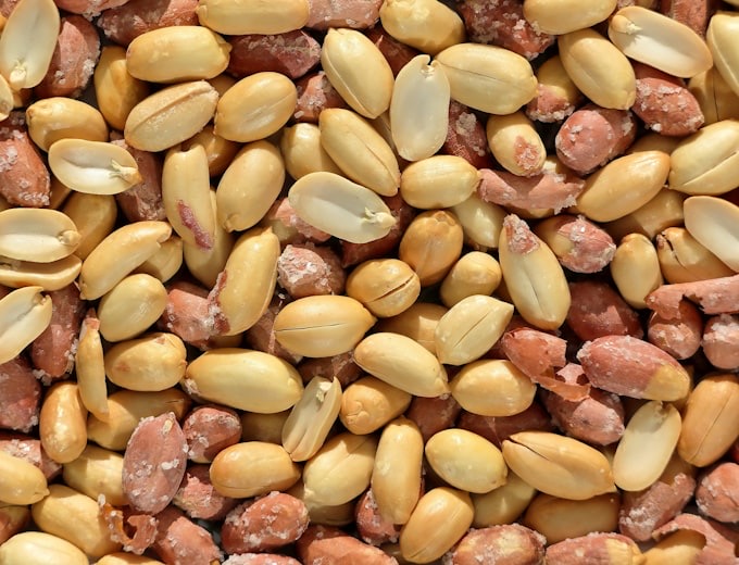 Erdnüsse in und neben ihrer Schale