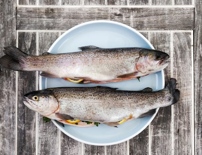Frischer Fisch auf einem Markt