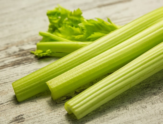 Frischer Sellerie