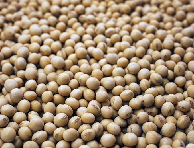 Sojabohnen in einer Schale